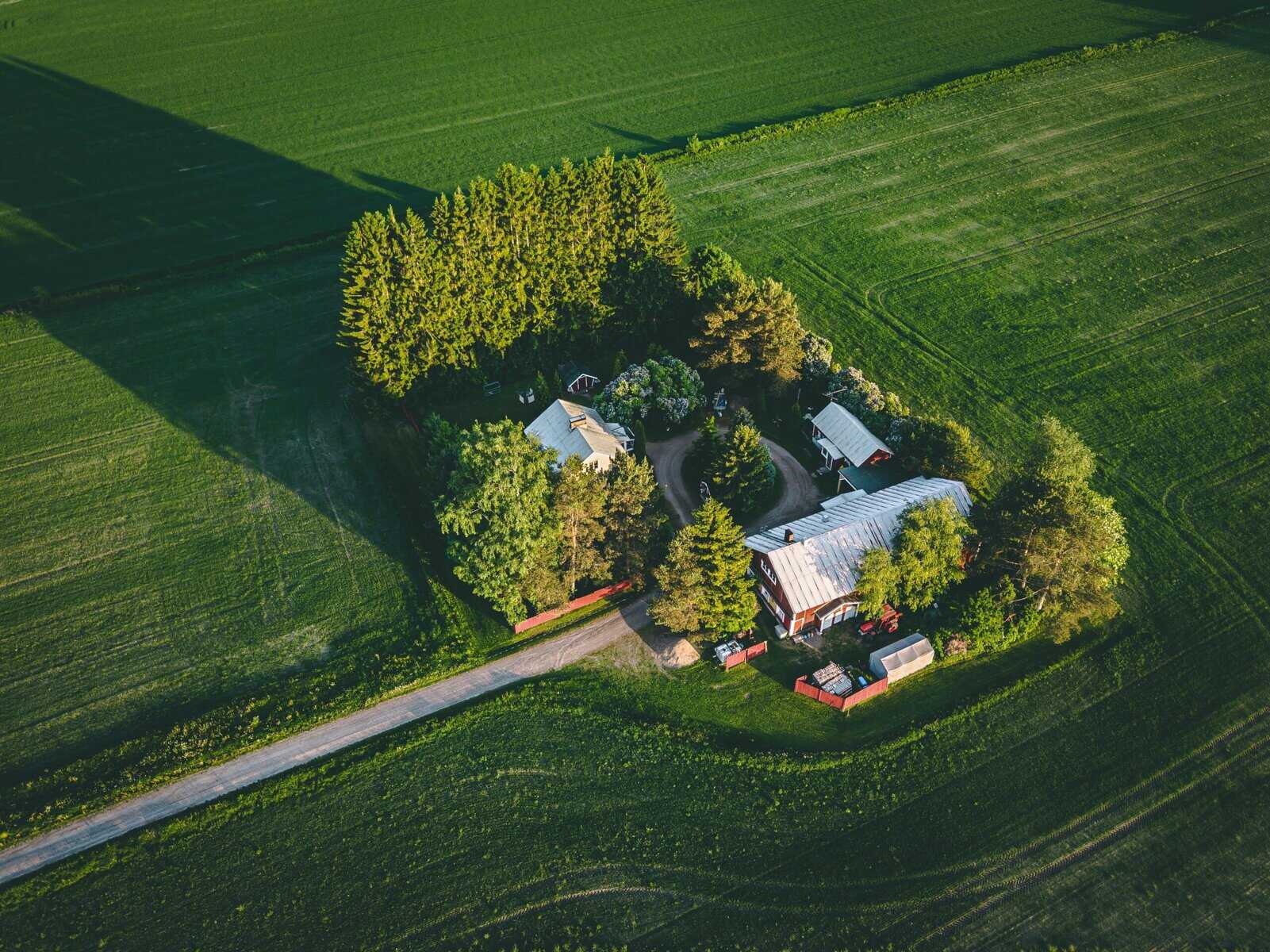 Aerial view of a farm surrounded by green fields.