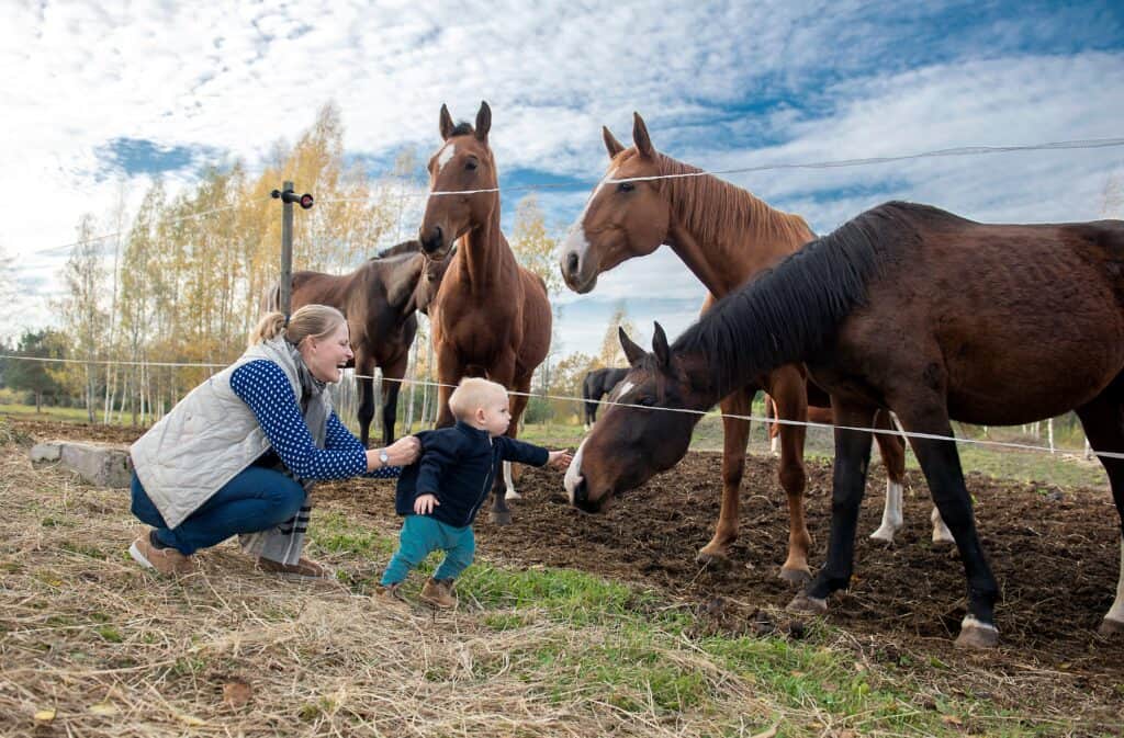 Child interacting with horses on a farm.